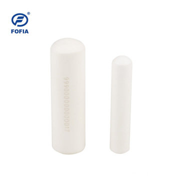 ICAR Animal Bovin Mouton RFID Bolus 134,2 kHz